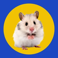 Small Pet